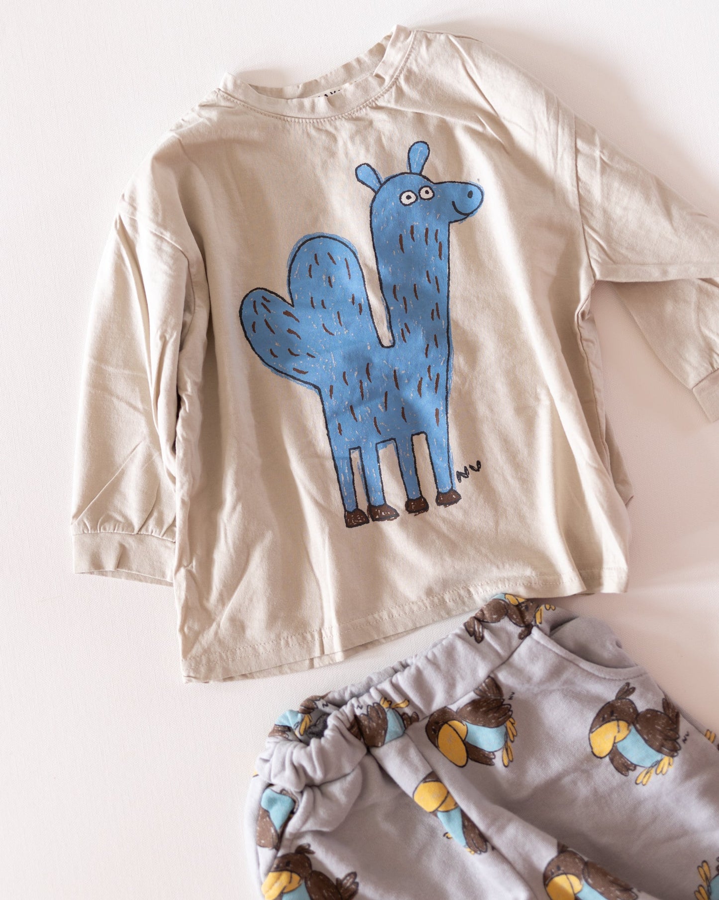 PREORDER camel long sleeve